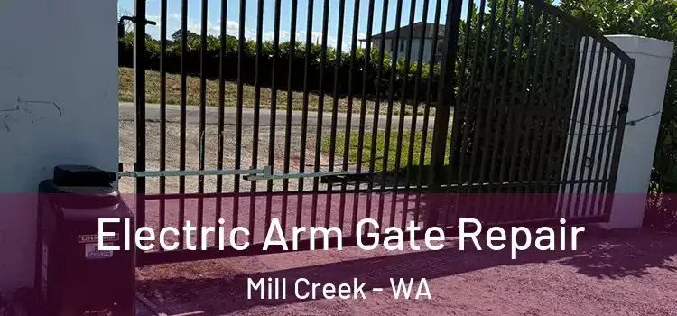  Electric Arm Gate Repair Mill Creek - WA