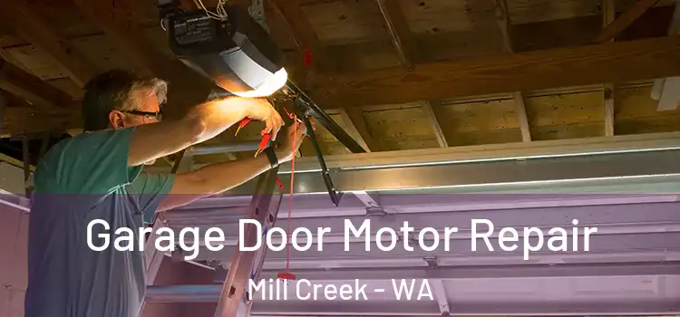  Garage Door Motor Repair Mill Creek - WA