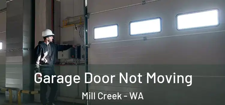 Garage Door Not Moving Mill Creek - WA
