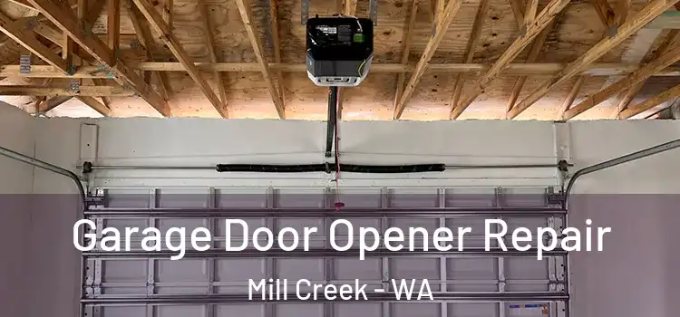  Garage Door Opener Repair Mill Creek - WA