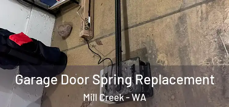  Garage Door Spring Replacement Mill Creek - WA