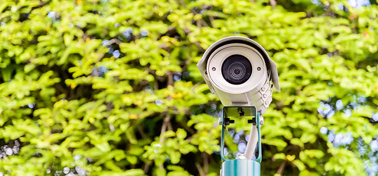 Advanced Surveillance Solutions for Every Need in Mill Creek