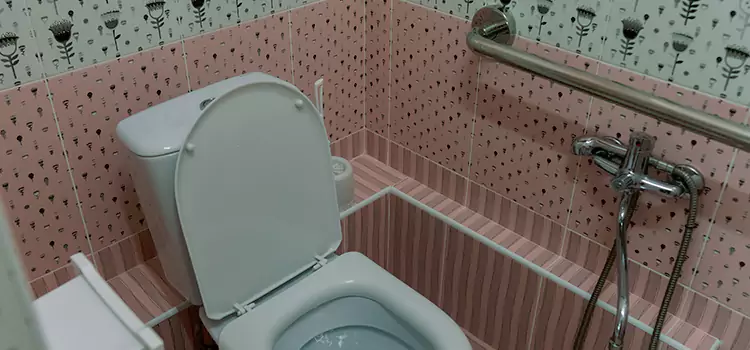 Meeting Diverse Needs With Accessible Restroom Solutions in Mill Creek, WA