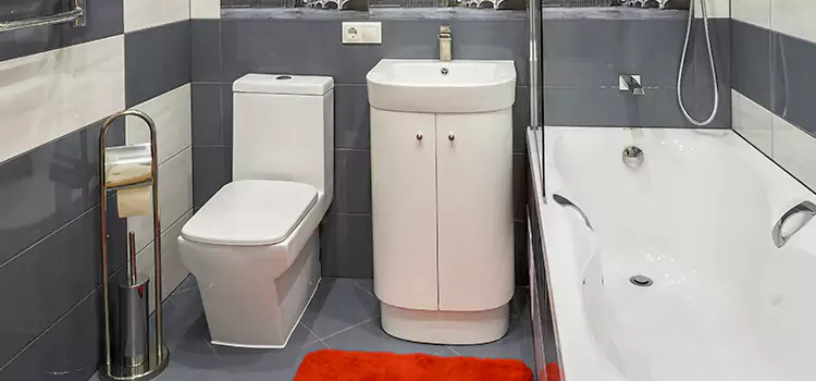 Hansgrohe Shaving Mirror Mill Creek